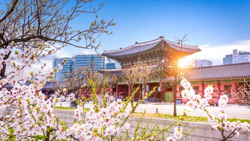 韓国留学入門